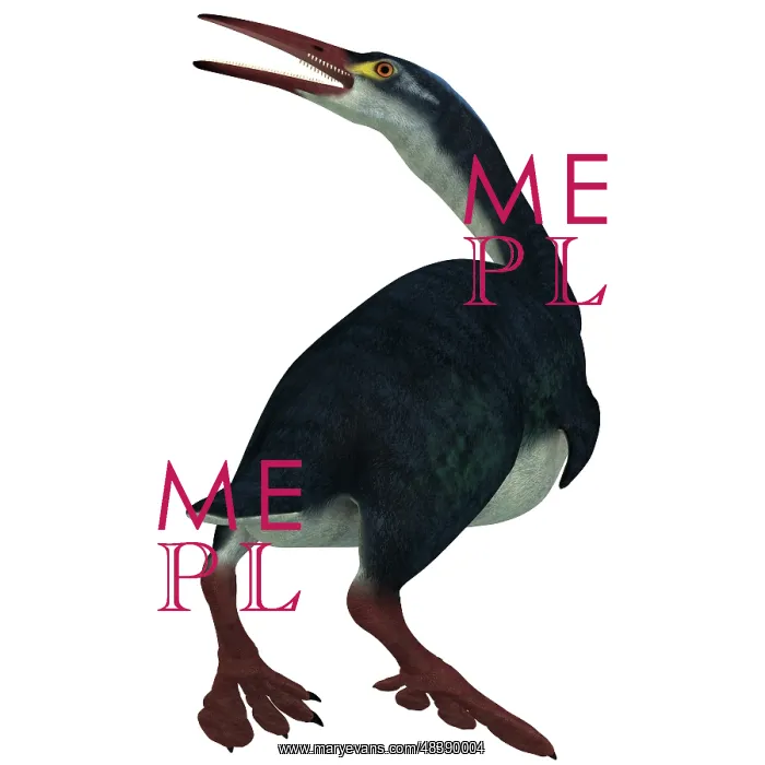 : Hesperornis was a a flightless bird that lived during the ? : Hesperornis was a a flightless bird that lived during the ?