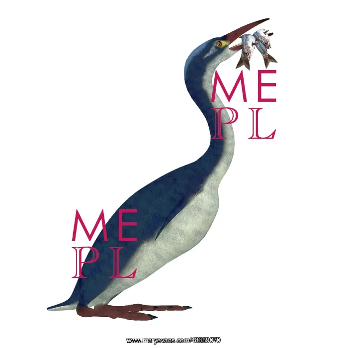 : Hesperornis bird with fish in its beak : Hesperornis bird with fish in its beak