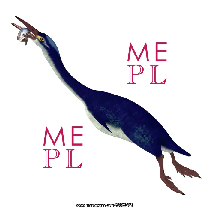 : Hesperornis bird with fish in its beak : Hesperornis bird with fish in its beak