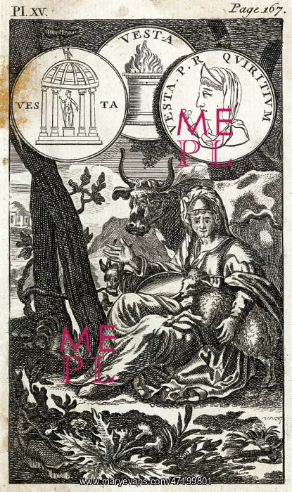 : HESTIA / TOOKE : HESTIA / TOOKE