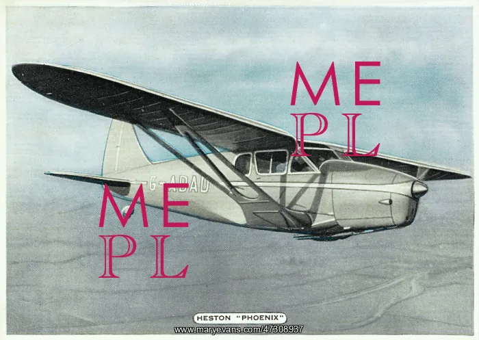  : HESTON PHOENIX