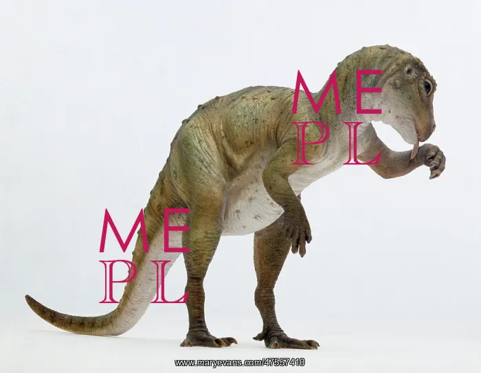 : Heterodontosaurus : Heterodontosaurus