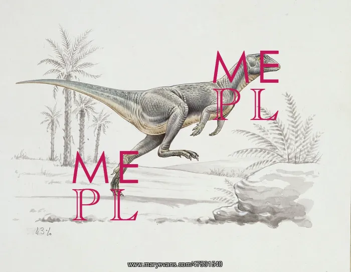 : Heterodontosaurus : Heterodontosaurus