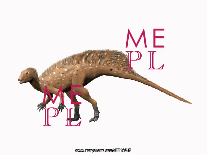 : Heterodontosaurus dinosaur : Heterodontosaurus dinosaur