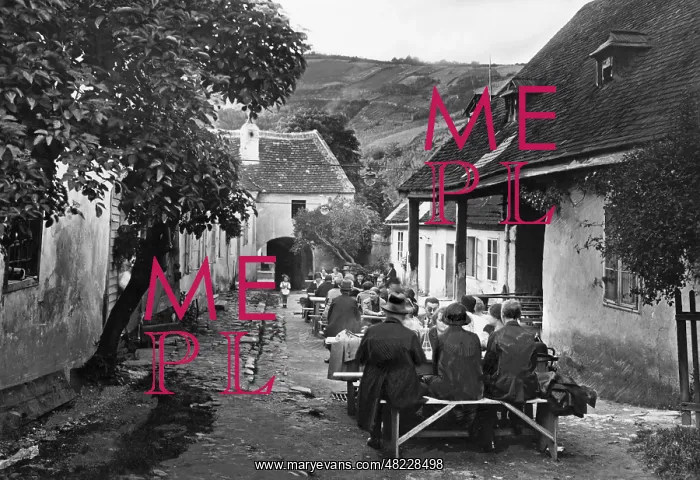 : Heuriger (wine tavern) in Vienna, 1936 : Heuriger (wine tavern) in Vienna, 1936