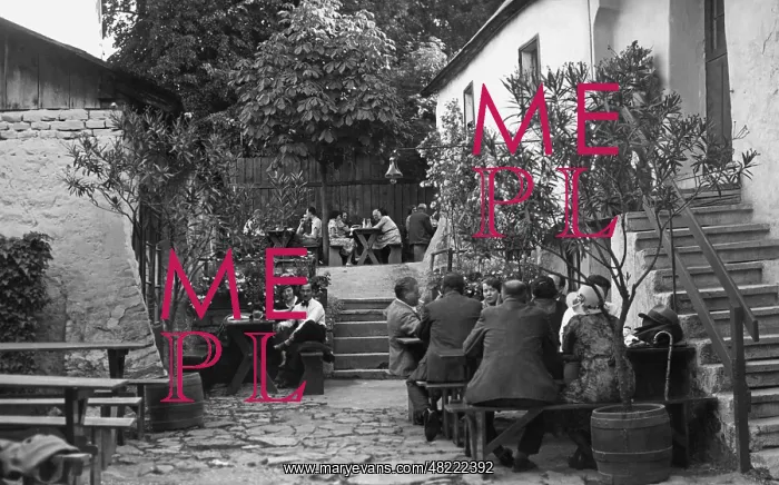 : Heuriger (wine tavern) in Vienna, 1938 : Heuriger (wine tavern) in Vienna, 1938