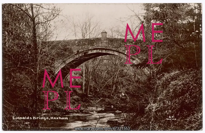 : Hexham Bridge : Hexham Bridge