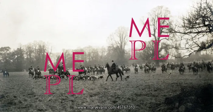 : Heythrop Hunt after meet, Adlestrop Park, Gloucestershire : Heythrop Hunt after meet, Adlestrop Park, Gloucestershire