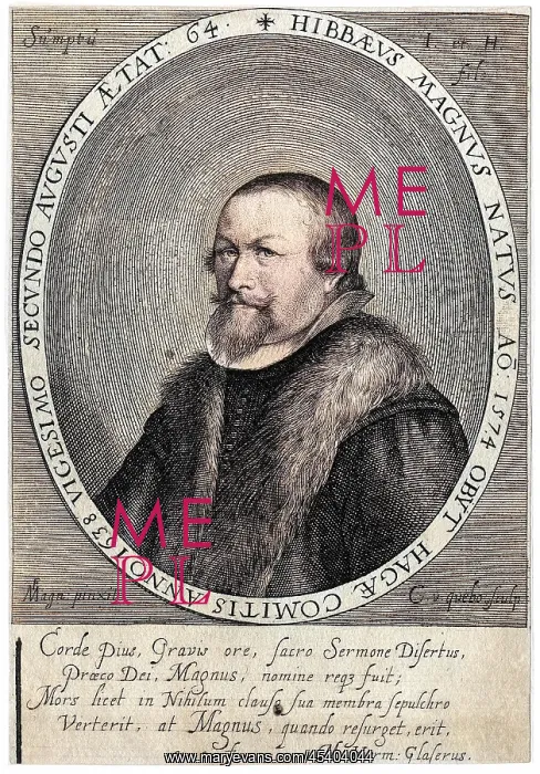 : HIBBAEUS MAGNUS : HIBBAEUS MAGNUS