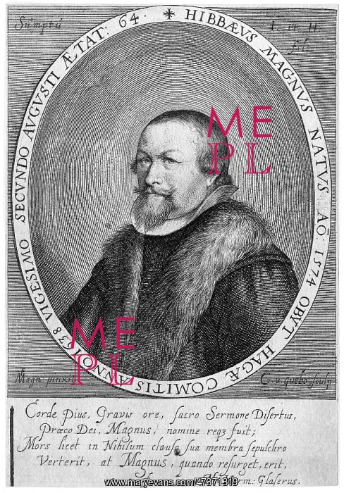  : HIBBAEUS MAGNUS