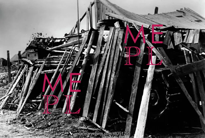 : Hidden German tank on the Eastern front, 1942 : Hidden German tank on the Eastern front, 1942