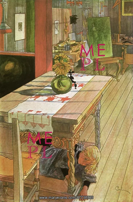 : Hide-and-Seek : Hide-and-Seek