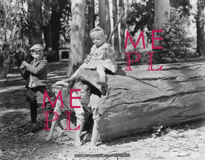 : HIDE & SEEK : HIDE & SEEK
