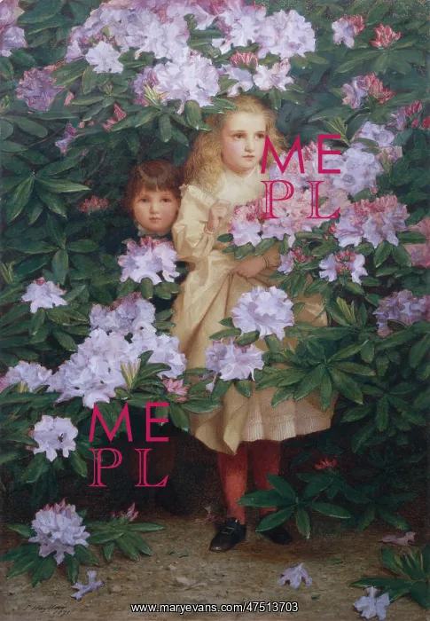 : Hide and Seek ' children and rhododendrons : Hide and Seek ' children and rhododendrons
