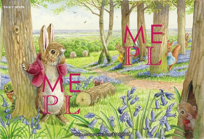 : Hide and Seek! - rabbits, squirrels, badger & frog : Hide and Seek! - rabbits, squirrels, badger & frog