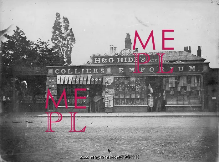 : Hides, Late Colliers Emporium : Hides, Late Colliers Emporium