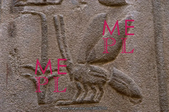 : Hieroglyphic writing : Hieroglyphic writing