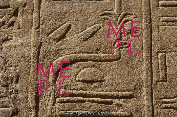: Hieroglyphic writing : Hieroglyphic writing