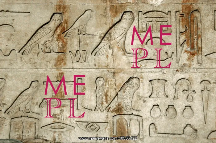 : Hieroglyphic writing. Architrave. Tomb of Nykaiankh. 5th Dy : Hieroglyphic writing. Architrave. Tomb of Nykaiankh. 5th Dy