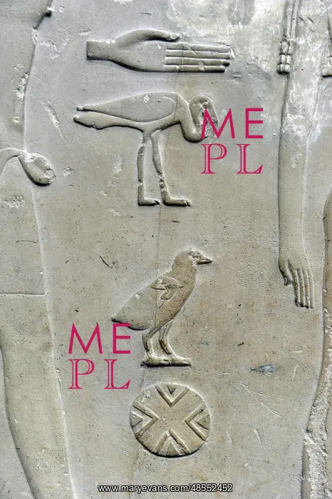 : Hieroglyphic writing. Relief detail from the tomb of Princes : Hieroglyphic writing. Relief detail from the tomb of Princes