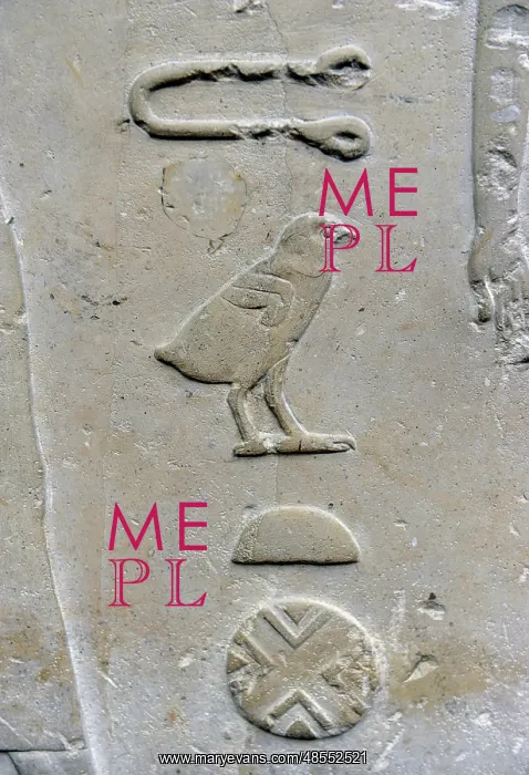 : Hieroglyphic writing. Relief detail from the tomb of Princes : Hieroglyphic writing. Relief detail from the tomb of Princes