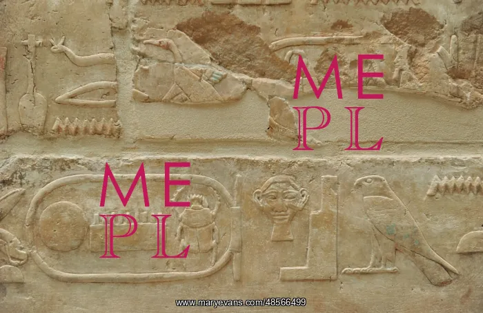 : Hieroglyphics. Relief. From the Temple of Queen Hatshepsut : Hieroglyphics. Relief. From the Temple of Queen Hatshepsut
