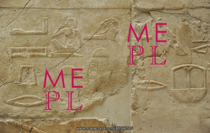  : Hieroglyphics. Relief. From the Temple of Queen Hatshepsut