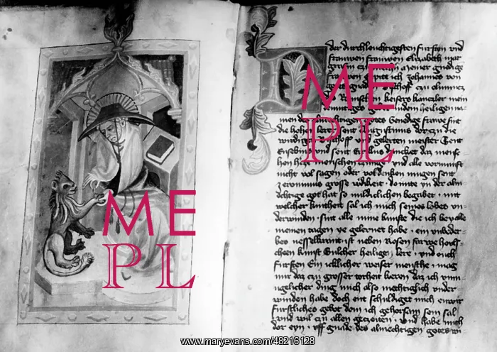 : Hieronymus : Hieronymus