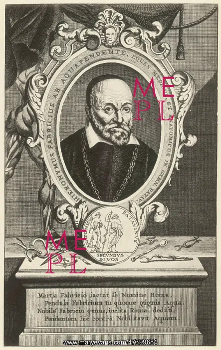  : HIERONYMUS FABRICIUS