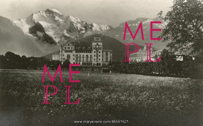 : High Alpine meadow before the Jungfrau Mountain : High Alpine meadow before the Jungfrau Mountain