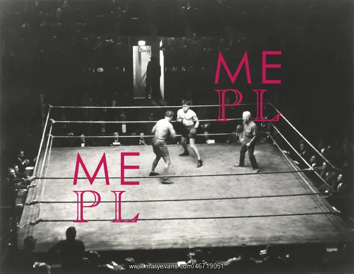 : High angle view of boxing match : High angle view of boxing match