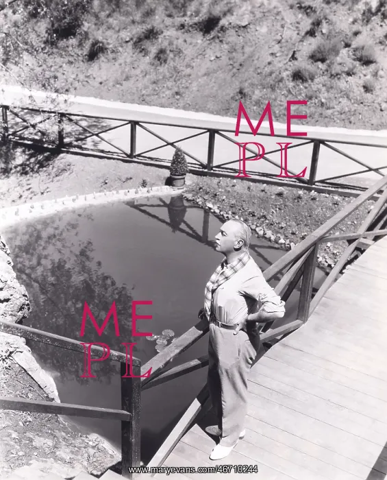 : High angle view of man standing on bridge overlooking pond : High angle view of man standing on bridge overlooking pond