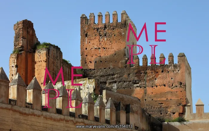 : Fez. High angle view of Ramparts, Fez, Morocco : Fez. High angle view of Ramparts, Fez, Morocco