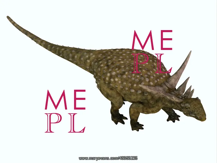 : High angle view of a Sauropelta armored dinosaur : High angle view of a Sauropelta armored dinosaur