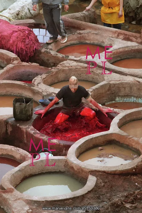 : Fez. High angle view of tanners in the dyeing pits : Fez. High angle view of tanners in the dyeing pits