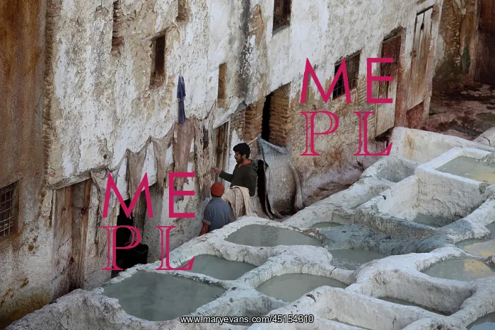 : Fez. High angle view of vats, Chouara Tannery : Fez. High angle view of vats, Chouara Tannery