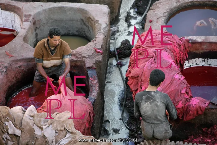  : Fez. High angle view of workers in the dyeing pits