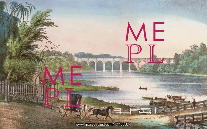 : The High Bridge at Harlem, N.Y : The High Bridge at Harlem, N.Y
