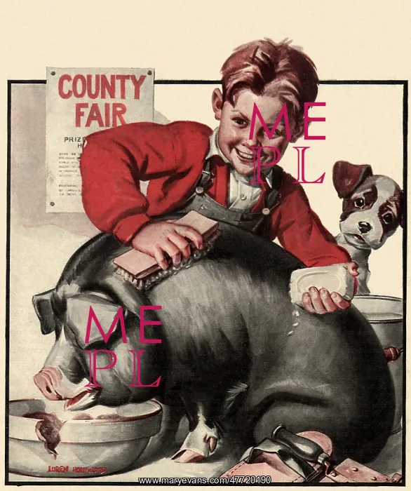  : High Hopes For Pet Pig