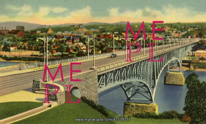 : High Level Bridge. Homestead : High Level Bridge. Homestead