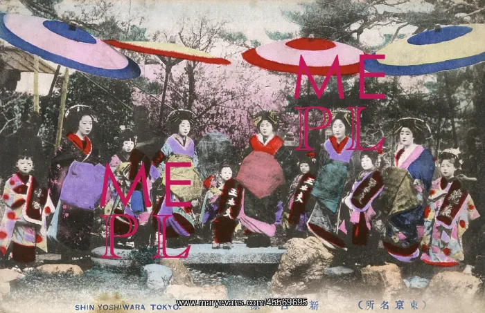: High ranking courtesans from New Yoshiwara District, Tokyo : High ranking courtesans from New Yoshiwara District, Tokyo