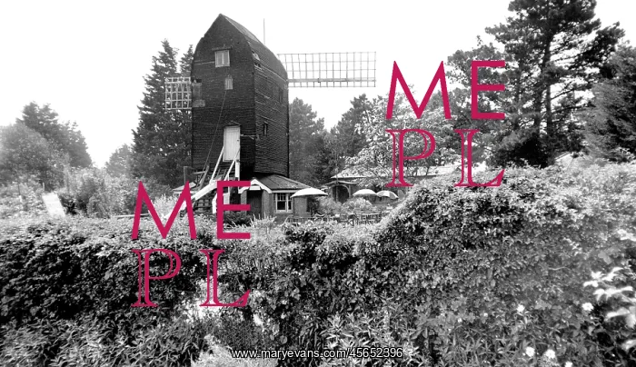  : High Salvington, the Mill c1955