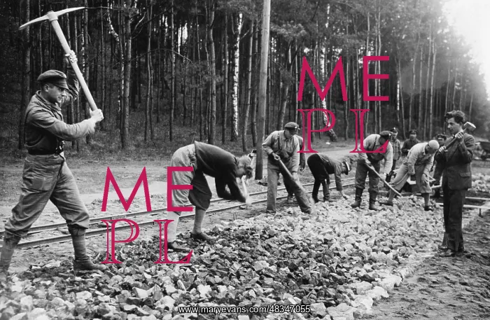 : High school graduates working for the Labor Service, 1932 : High school graduates working for the Labor Service, 1932