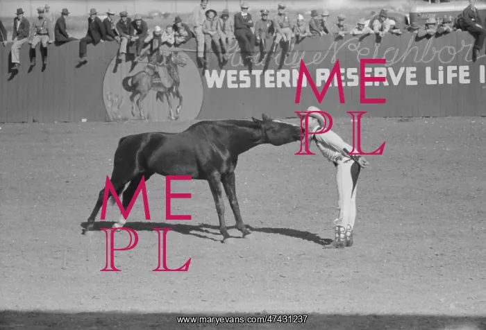 : High school horse and his owner-trainer at the rodeo of the : High school horse and his owner-trainer at the rodeo of the