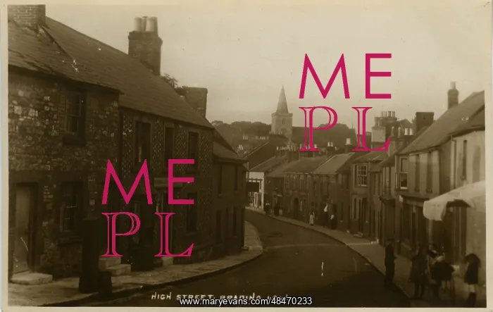 : High Street, Brading, Isle of Wight 1920s : High Street, Brading, Isle of Wight 1920s