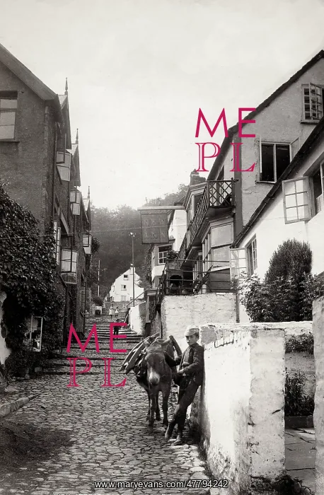 : High Street, Clovelly, Devon, boy with donkey : High Street, Clovelly, Devon, boy with donkey
