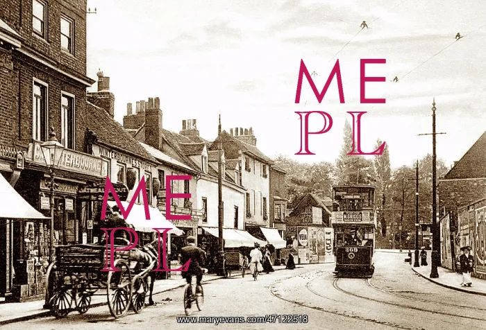  : High Street, Hampton Wick, early 1900s