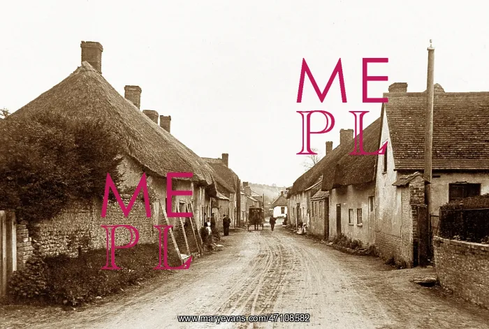  : High Street, Piddletrenthide early 1900's