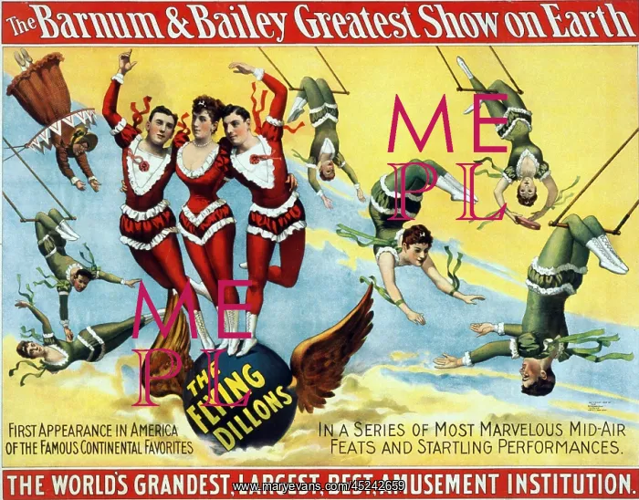 : High Trapeze act, the Flying Dillons, performed ? : High Trapeze act, the Flying Dillons, performed ?
