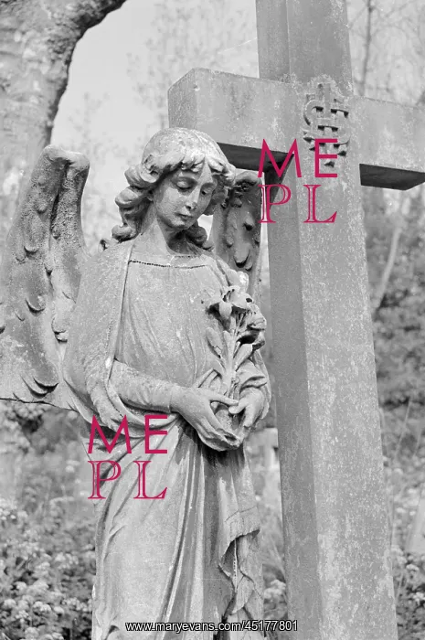 : Highgate Cemetery : Highgate Cemetery